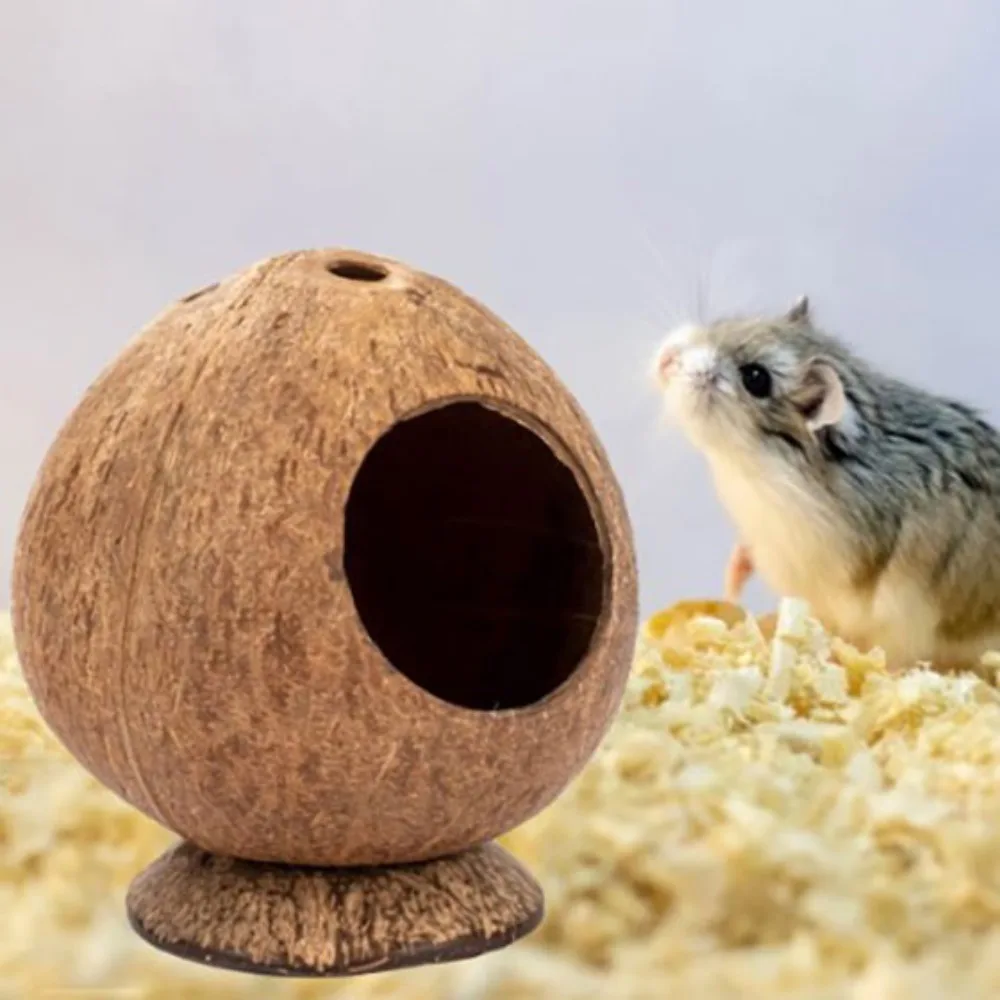 Hamster House Bite-resistant Natural Coconut Shell Guinea-pig Hamster Hideout House Toy Pet Supplies pet house