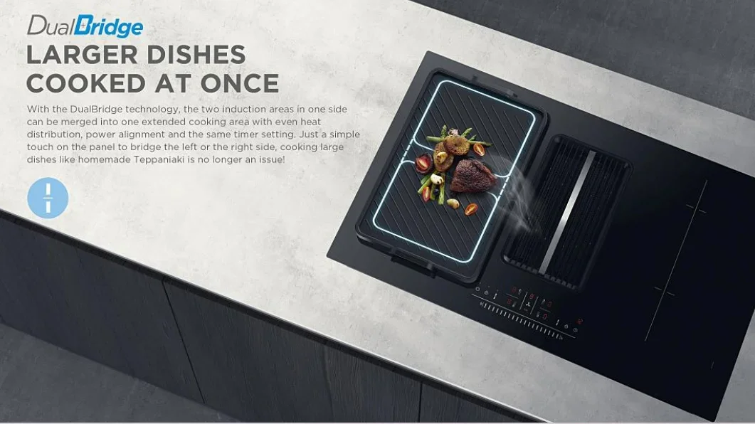 Description Picture 5 of itemGas StoveHome Appliances Induction Cooker With 2 Burners Induction Built In Oven Germany IGBT