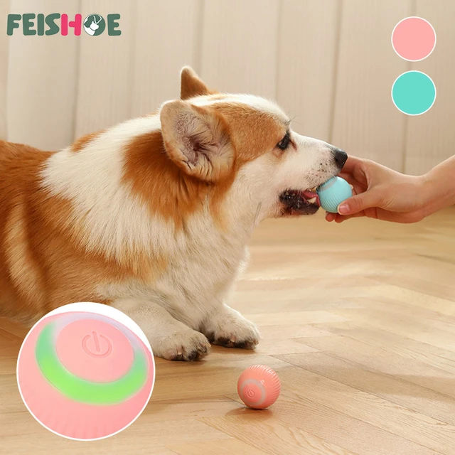 BigTuto Interactive Dog Ball Toys, Active Rolling Ball for Dogs/Cats with  Motion Activated/USB Rechargeable, Automatic Rolling Ball Toys for