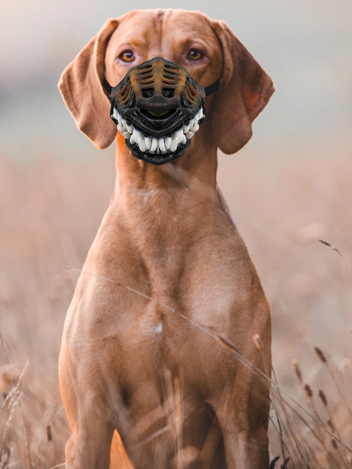 Sacacb326cf4c4f9291db9e5a5197a909T