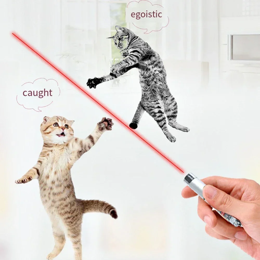 Teasing Laser Pointer for Pets 4