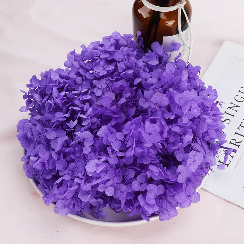 Flores de hortensia Anna, pequeñas hojas preservadas, decoración de hortensias, decoración de oficina, flores de bricolaje, decoración para habitación bohemia, boda