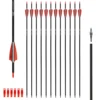 LAIXING 12PCS Carbon Arrow 30 Inch Spine 500 with Replaceable Arrowhead for Compound/Recurve Bow Archery Hunting Targeting 1