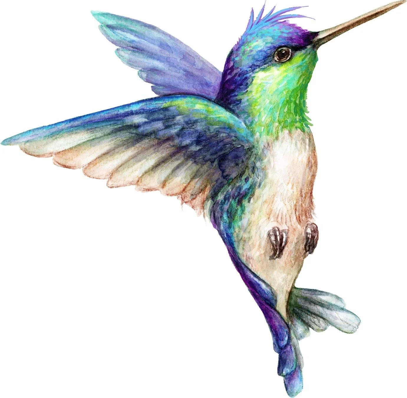 

For Beautiful Vibrant Colored Hummingbird Art Truck Car Bumper Sticker Vinyl Decal