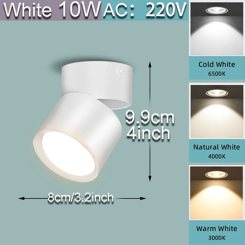 A-10W White 220V