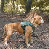 Tactical Vest Dog Harness Military Pet Harness Chest For Medium Large Dog Training Hiking Molle Big Dog Harness With Storage Bag 6