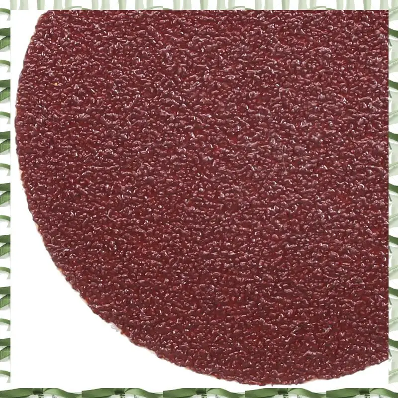 Professional Tool 50 Pcs 2 Inch Sanding Disc 60-180 Grit Hook And Loop For Sander Machine With 1 Pc 2 Inch Drill Shank Backing P