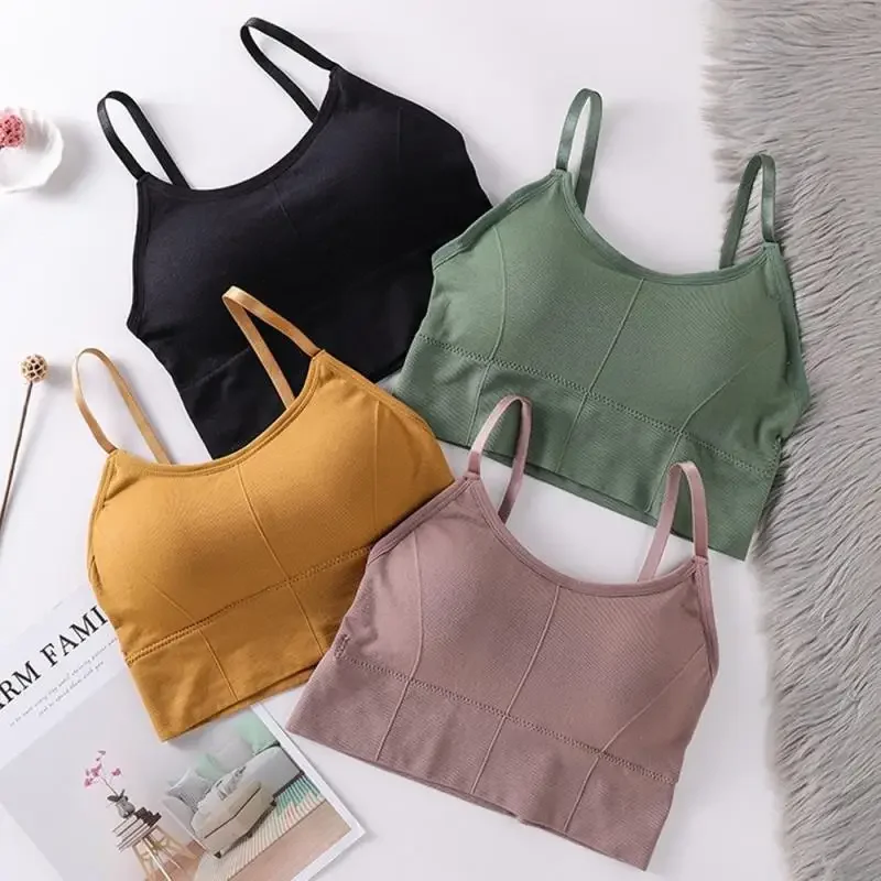 All-in-one Sports Bra Collection Breast High-intensity Professional Shock-proof Huddle Running Bra Yoga Fitness Summer Cloth