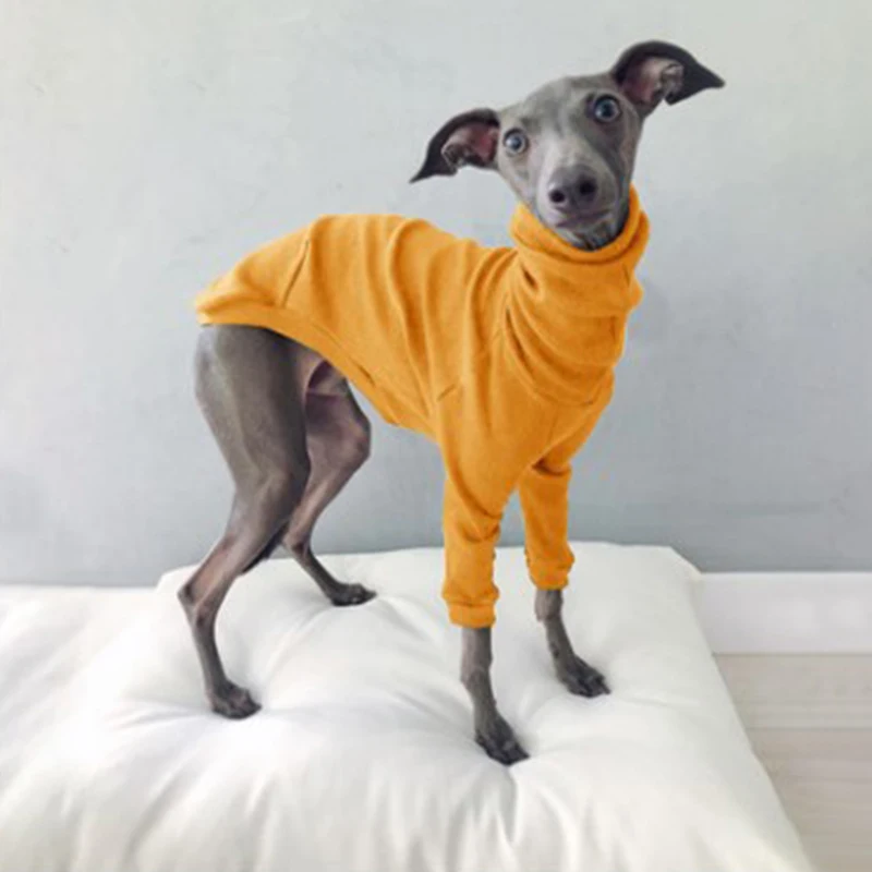Abrigo de cuello alto de algodón para perros tipo galgo whippet_voghion.com