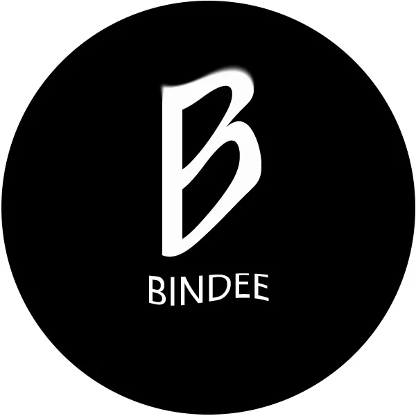 BINDEE AUDIO Store