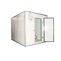 Unité de réfrigération, stockage de pièce froide, marche dans le congélateur, salle de stockage de froid industrielle avec unité de réfrigération et évaporateur 5