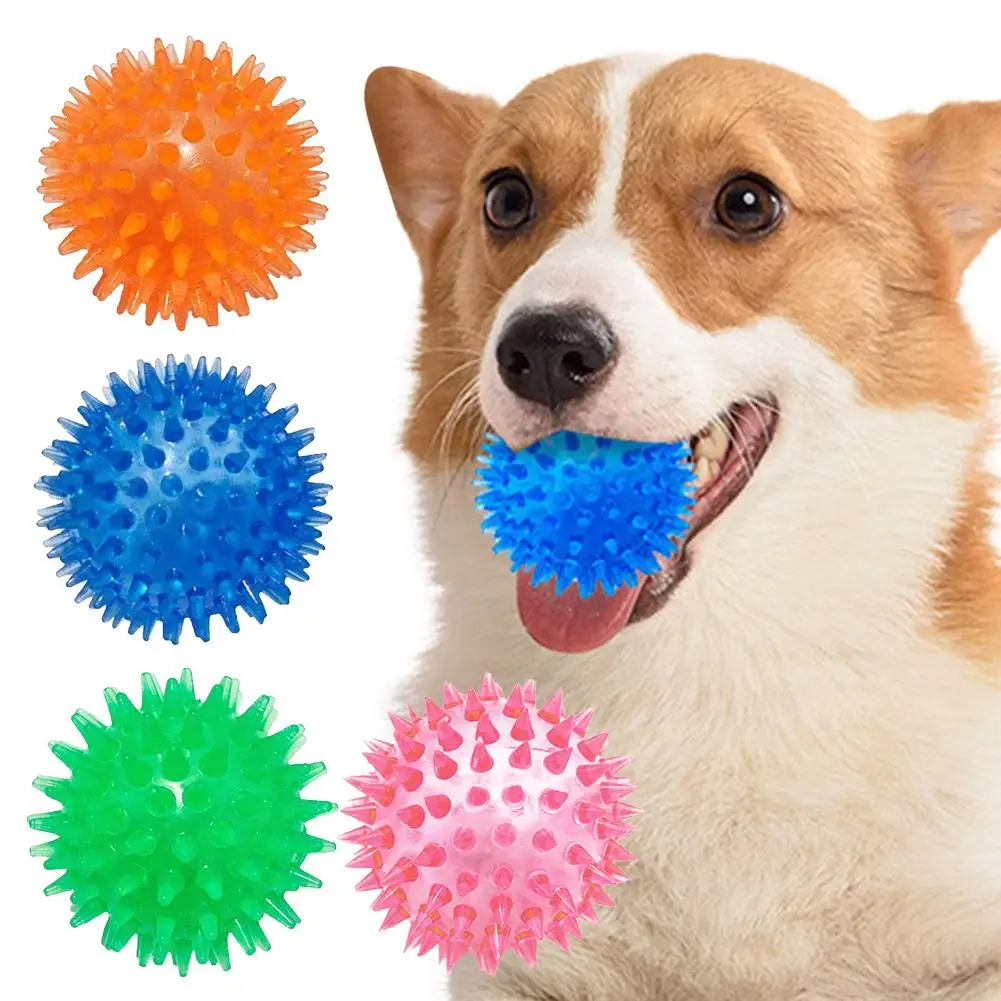 Spiky Chew Ball Dog Toy 5