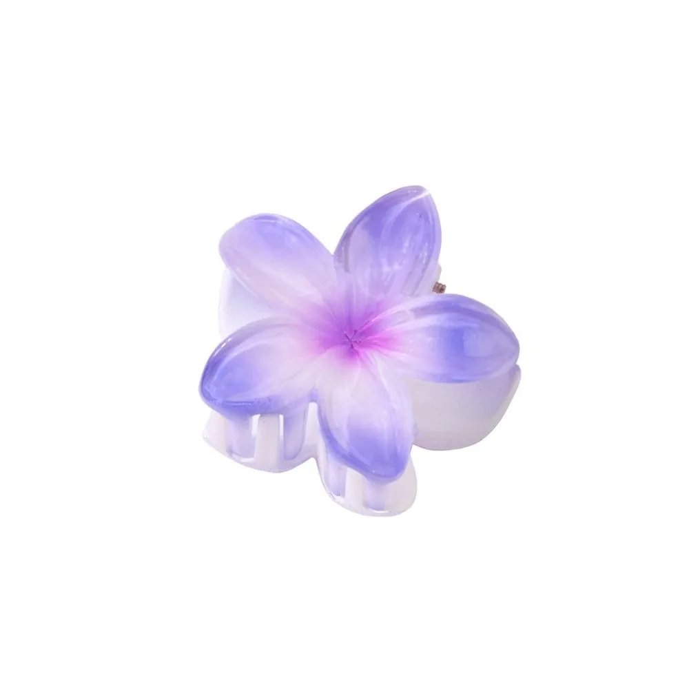 -4 Purple