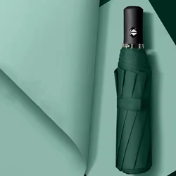 UV Protective Windproof Travel Umbrella with Auto Open & Close - Iron (Dark green)