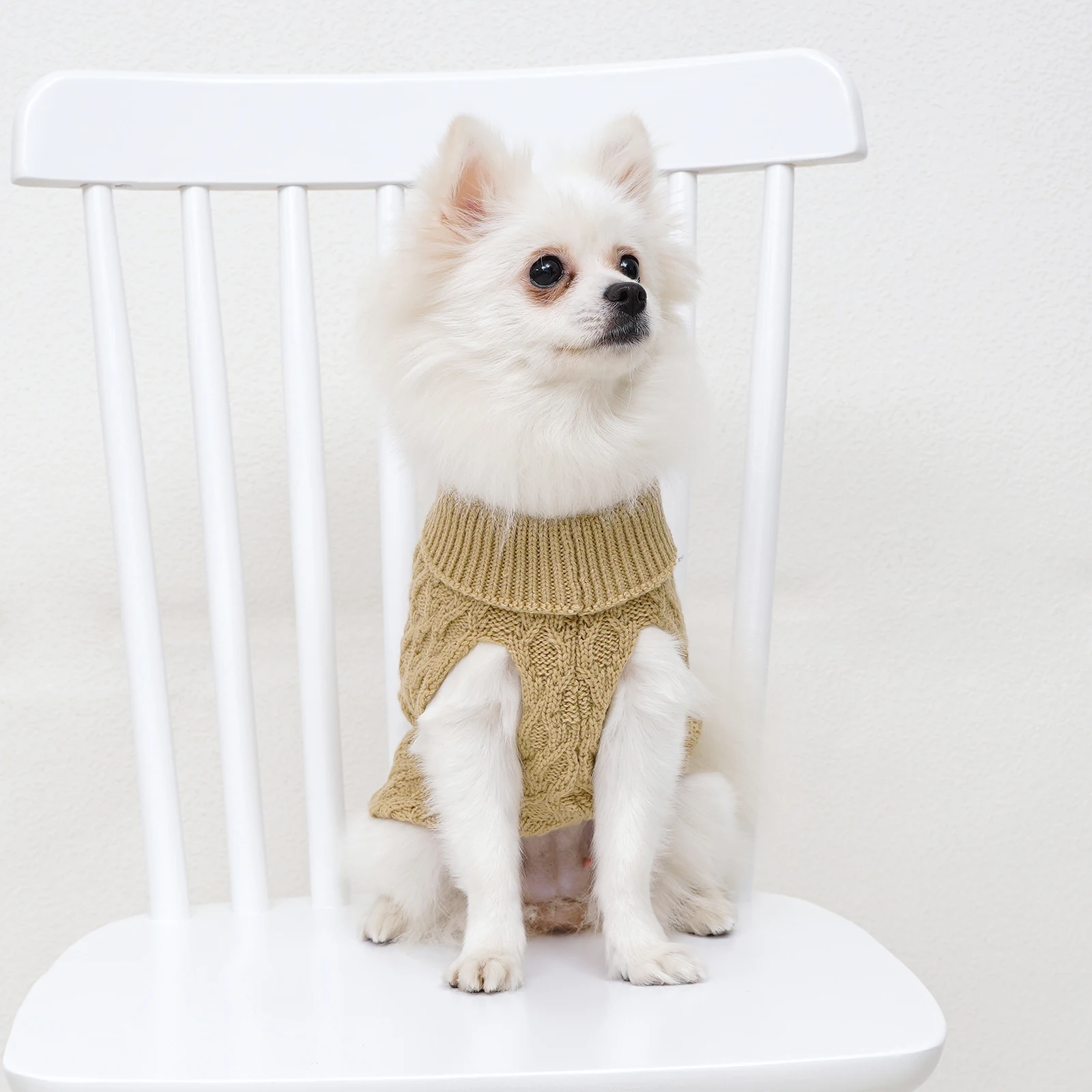 개 스웨터 니트 치와와 불독 보메이 의류 코트 민소매 애완 동물 풀오버 고양이 따뜻한 조끼, 귀여운 조끼 패션 솔리드