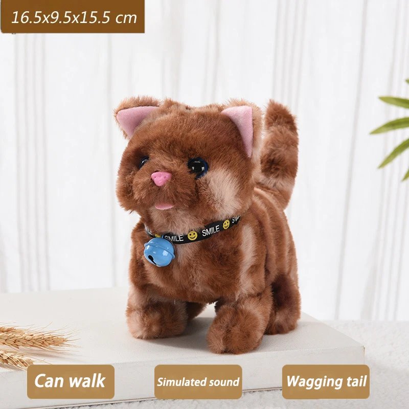 Bell cat Brown