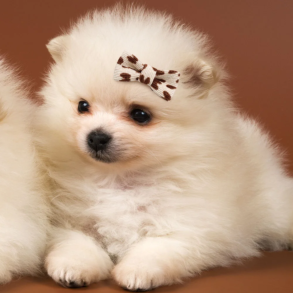 10 pezzi fiocchi per cani fatti a mano serie marrone fiocchi per cani di  piccola taglia elastici carini per cani boutique accessori per capelli per  cani gatto - AliExpress, image size:1000x1000