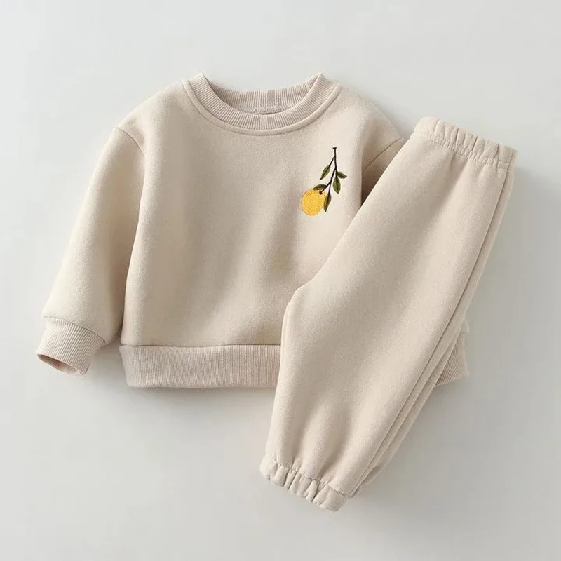 Kids Clothes Set 2Pcs Spring Winter Baby Girl Boy Embroidery Thicken Fleece Warm Sweatshirt Pant Boy Tracksuit Toddler Outfit