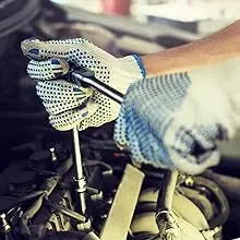 Vehicle and car tool set