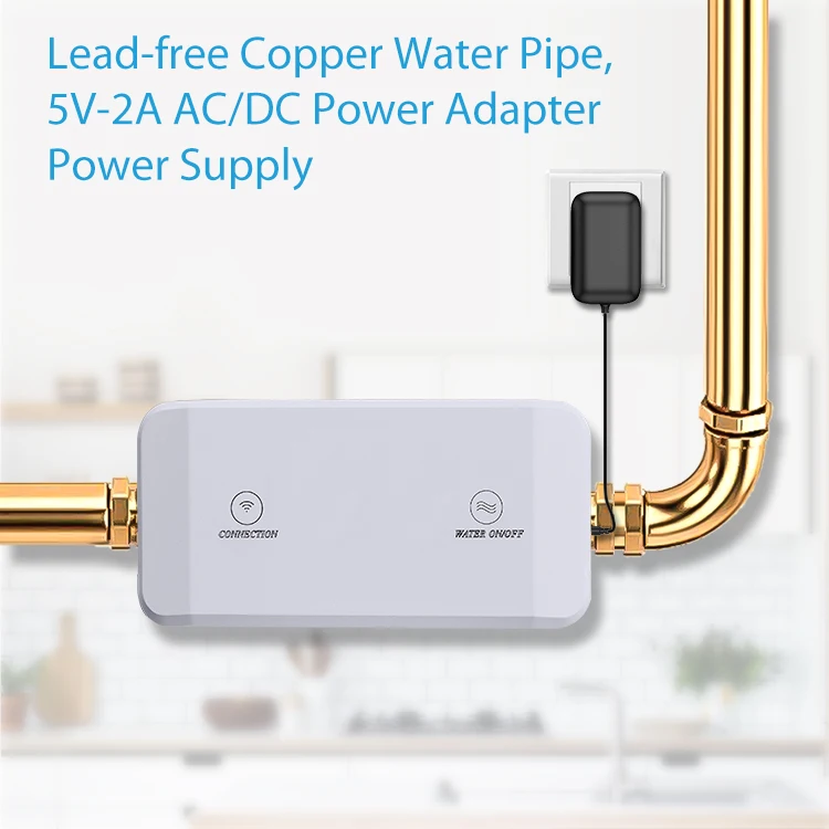 Haozee Tuya Smart Water Valve and Automatic Shutoff Water Flow Meter Water Leak