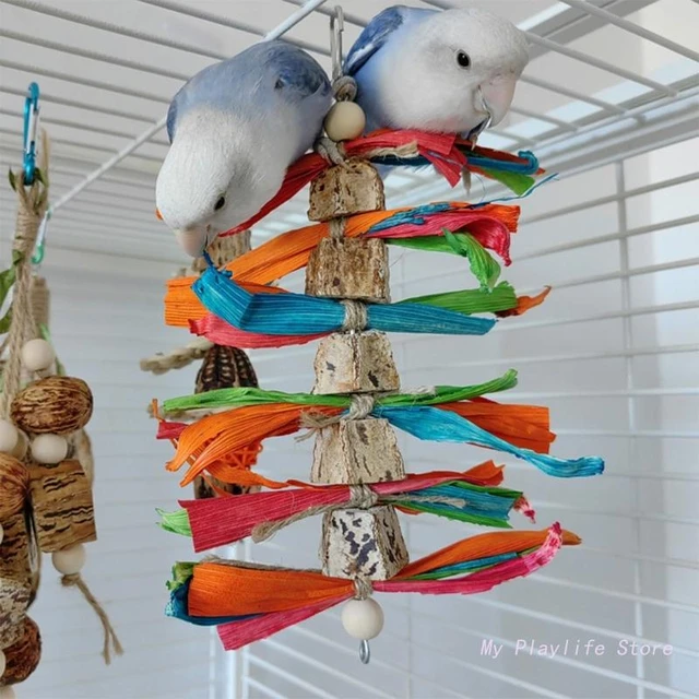 Pin By Mahsa Azadeh On Parrot In 2023 Parrot Toys, Homemade, 41 OFF