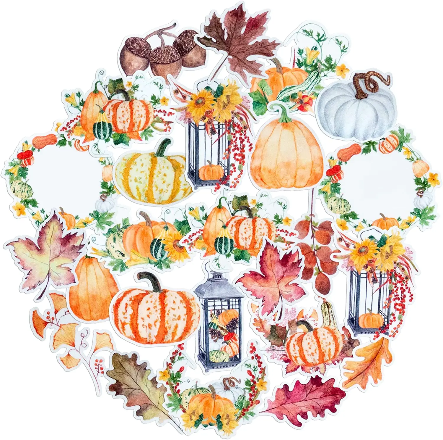 

25pcs Beautiful Pumpkin Fall Stickers Cute Decals for Laptops and Phone Cases, Sticker Pack for Scrapbook, Notebook and Journal