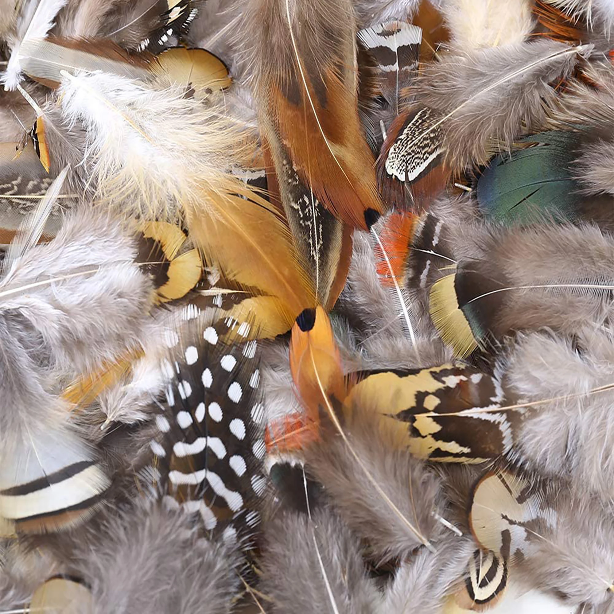 Wholesale 12 Styled Natural Feathers Assorted Mixed Feathers for Jewelry  and Dream Catcher Crafts Decoration - AliExpress