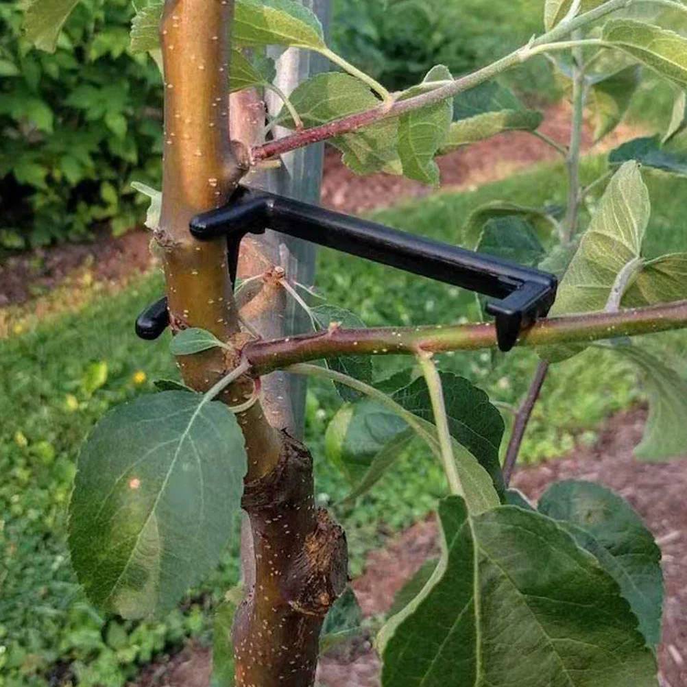 Clip per allenamento per piegare rami di piante Clip per allenatore per steli da giardino Supporto per fioriera regolabile a 360 gradi per strumento di allenamento a basso stress  15