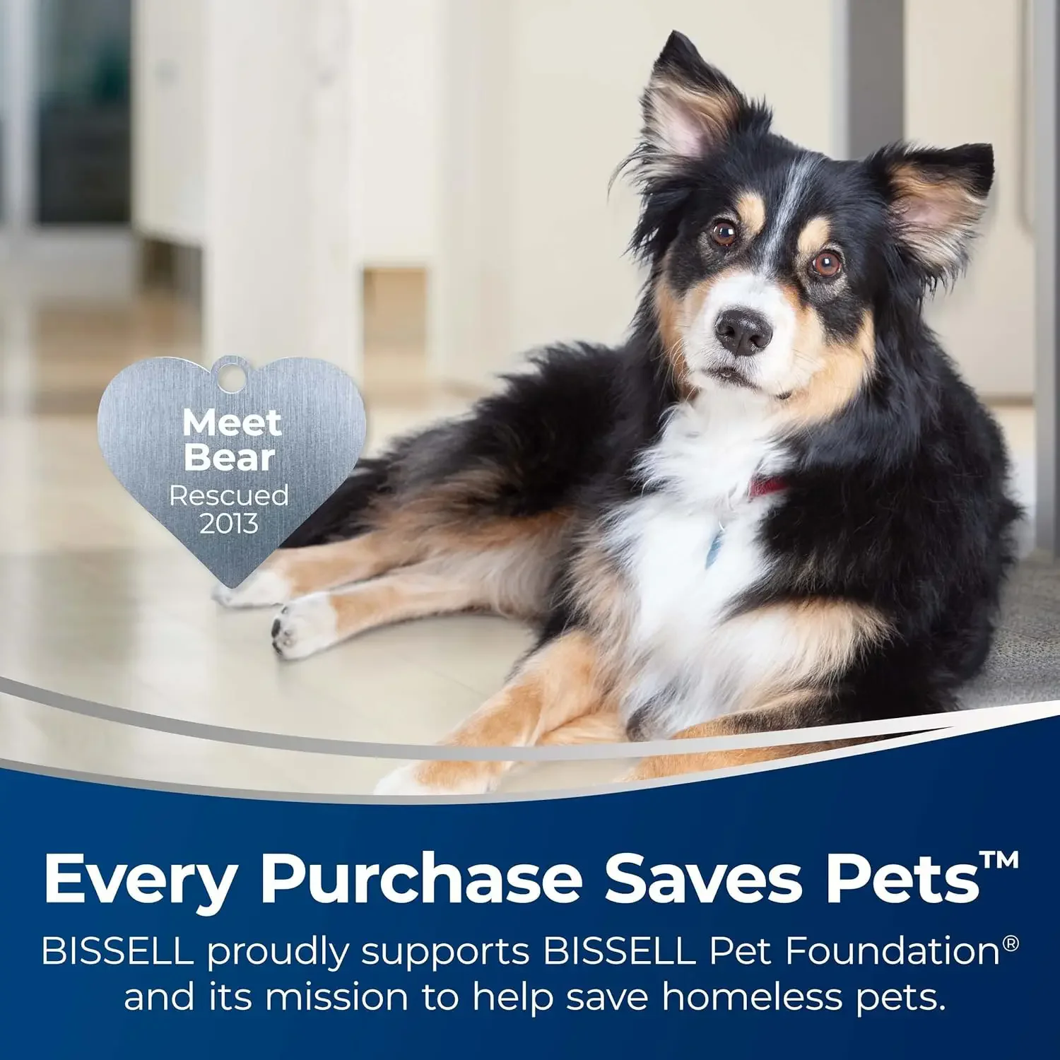 BISSELL CrossWave Cordless Max All in One Wet-Dry Vacuum Cleaner and Mop for Hard Floors and Area Rugs, Black, 2554A 2
