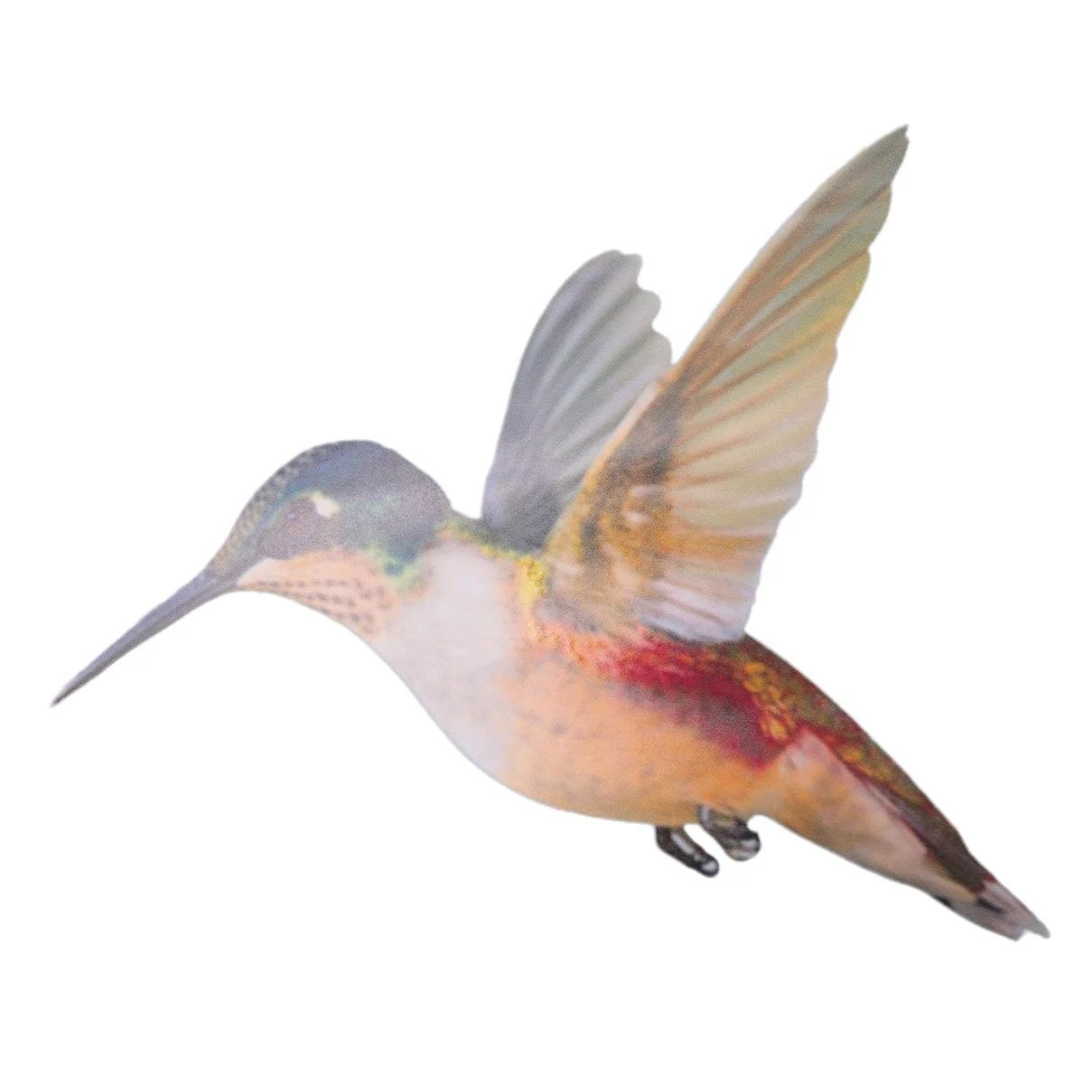 6 Pcs Lrge Size Bird Window Clings Anti-Collision Window Clings Decals to Prevent Bird Strikes on Glass