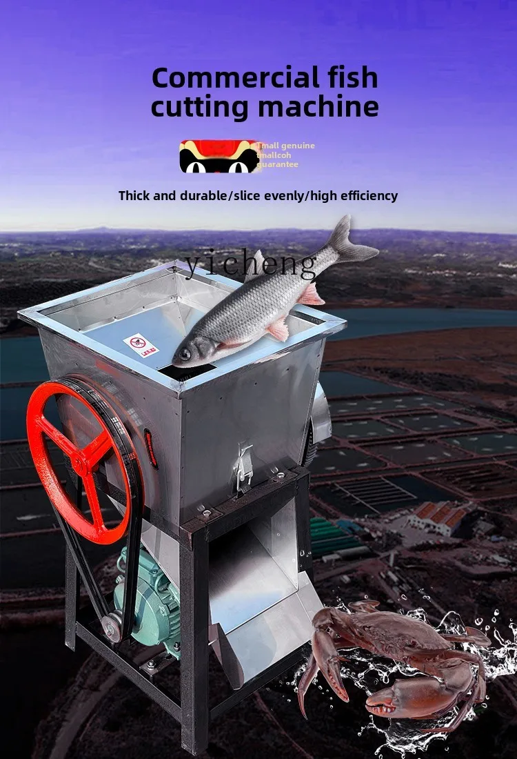 ZZ special fish cutting machine household commercial motor automatic feed shredding machine 5