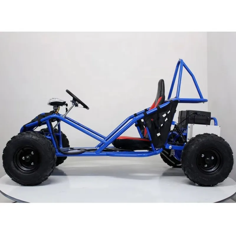 Electric Option 1000W 60KM/H Amusement Park Adult Go Karting with Shaft Drive Engine