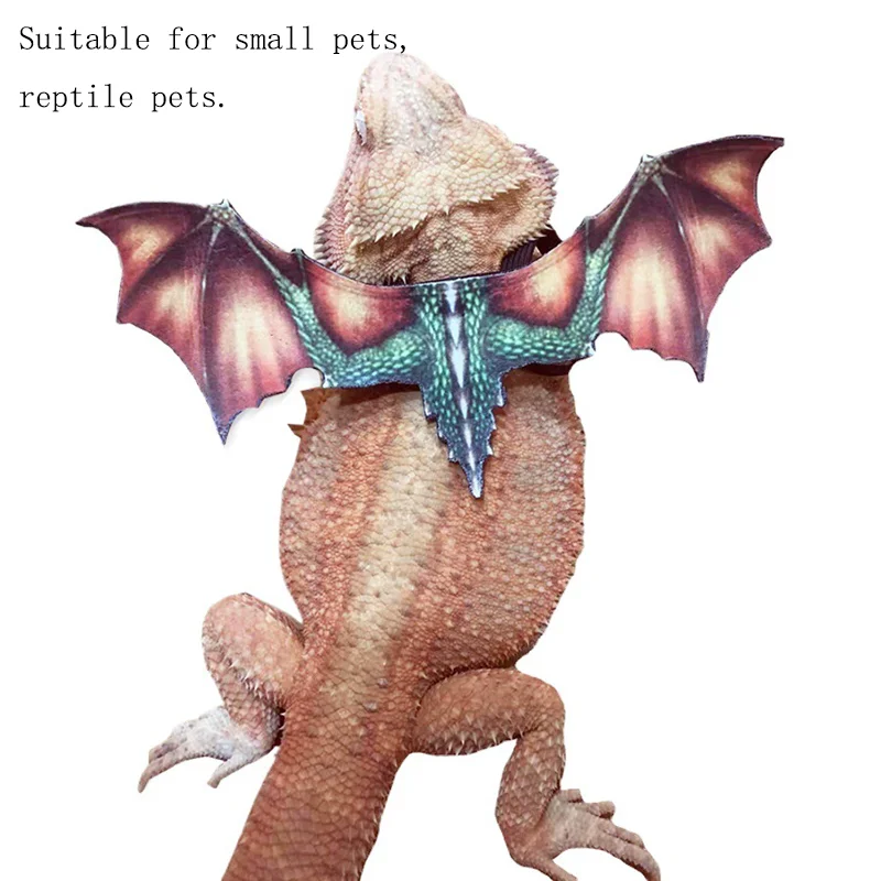 Lizard Leash Tyrannosaurus Rex Chameleon Climbing Pet Outing Leather Wing Chest Strap Chameleon Squirrel Leash Small Pet Supplie