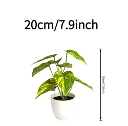 Petite Variegated Golden Pothos in Decorative Pot - Ideal for Desk and Indoor Decor (Green)
