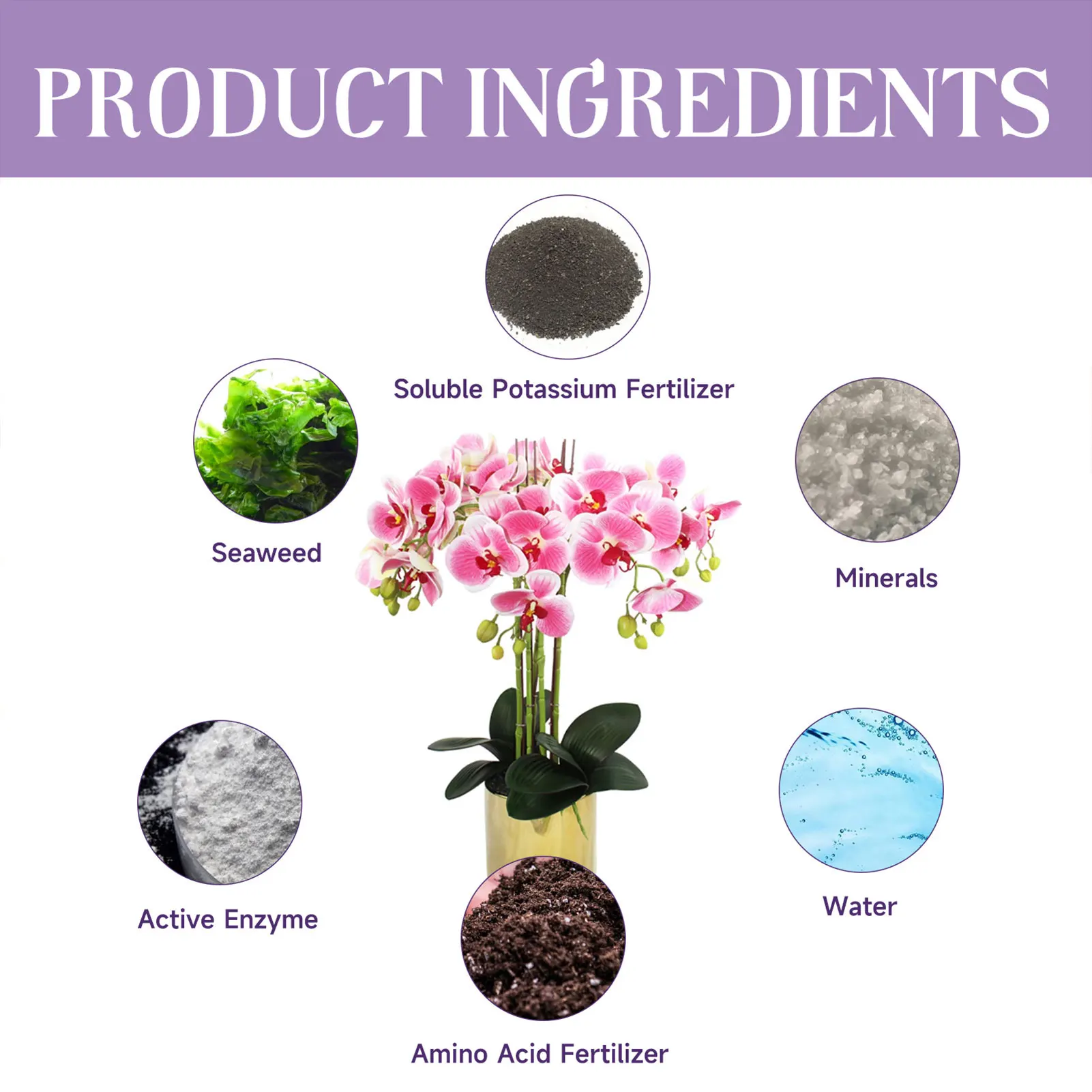 Description Picture 4 of itemOrchid Growth Nutrient Fertilizer Natural Ingredients Root Boost Solution Suitable for Orchid Plants