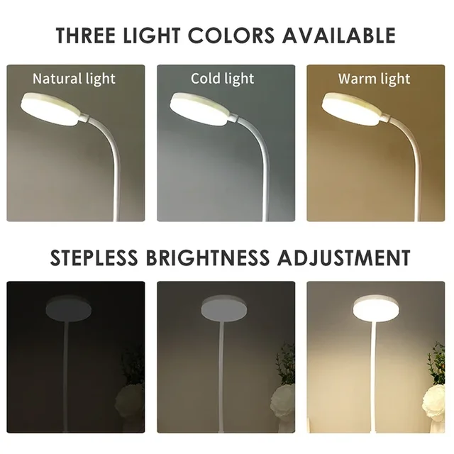 Portable LED Desk Lamp with USB & Battery Power 2