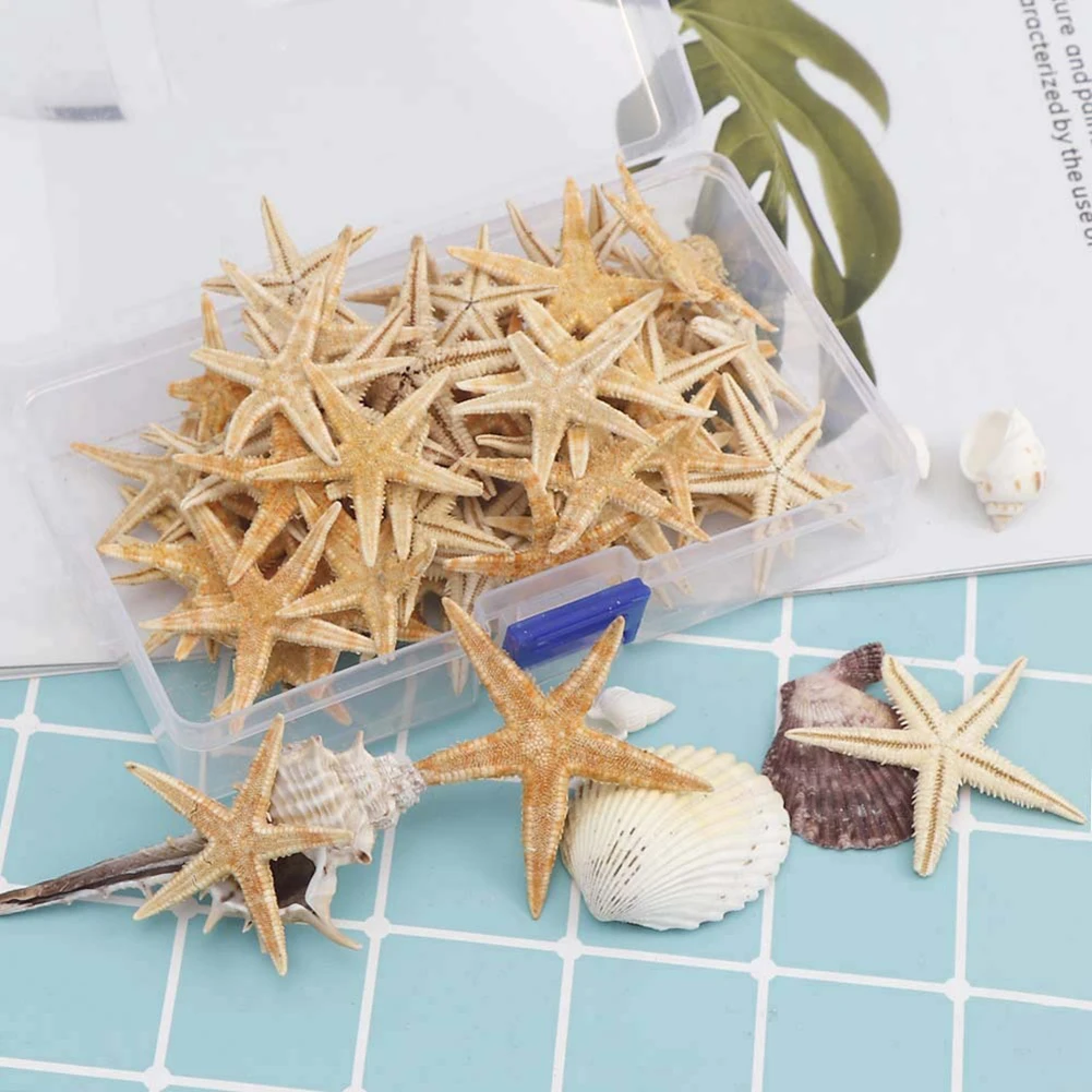 20 50 100PCS Sea Shells Mini Starfish Craft Decoration Natural Sea Stars DIY Beach Cottage Wedding Decor Crafts Wedding