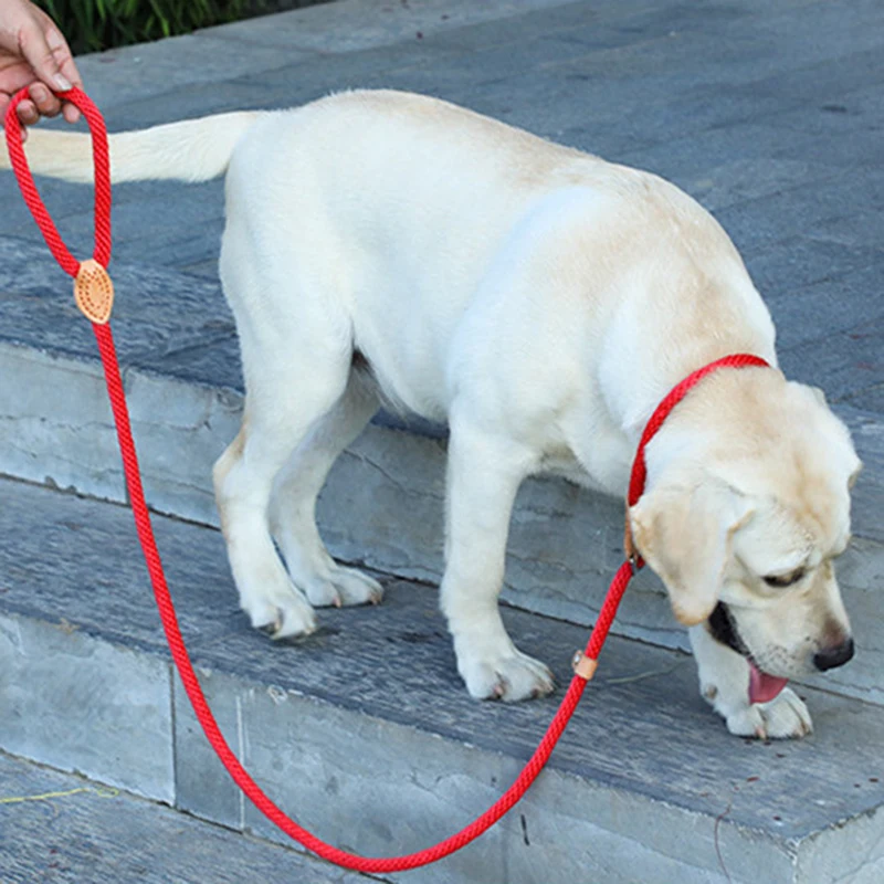 2.5m Lengthen Integrated Leash And Collar Durable P Chain Collar Nylon Adjustable Dog Training Leads Tied Dog Supplies