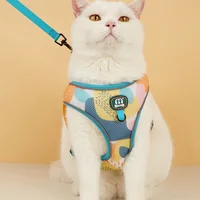 New Arrives Adjustable Soft Mesh With Fashionable Design Pet Harness And Leash Set 1