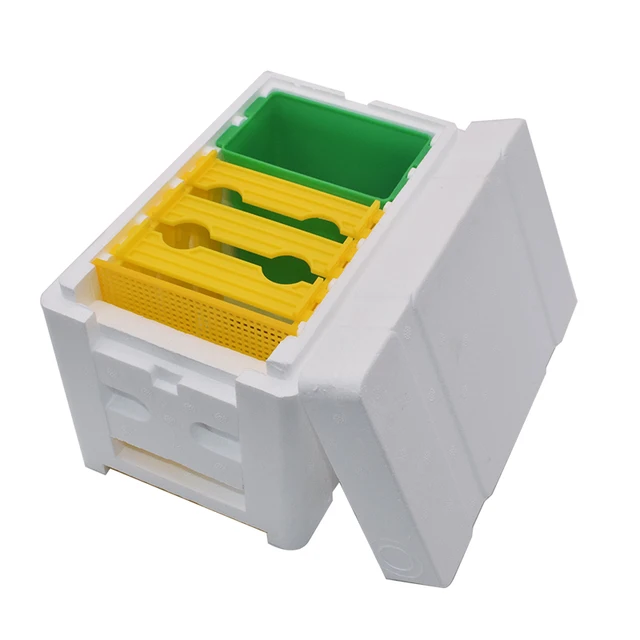 Méhkas Méhészet King Box Hab Méh Kaptár Beporzási Dobozok Betakarítás Méhész Mini Queen Tenyésztő Párzási Kellékek - Image 3