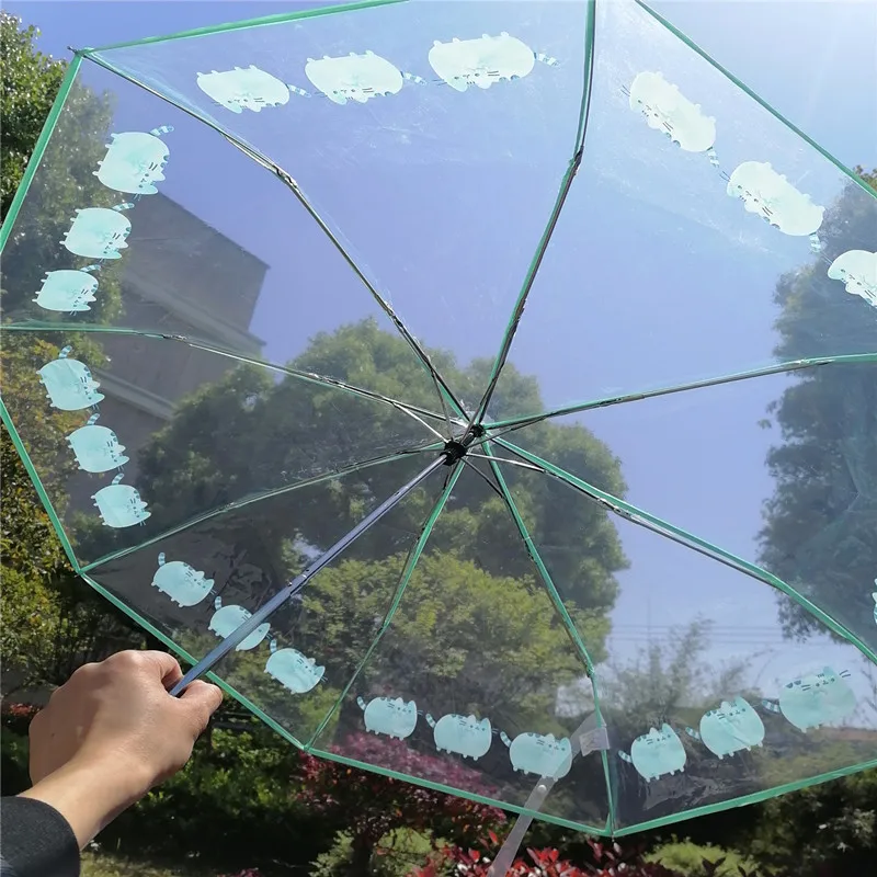 Description Picture 6 of itemNew Folding Umbrella Transparent Sakura Anti-literature Folding Umbrella Wind And Water Resistant Umbrella