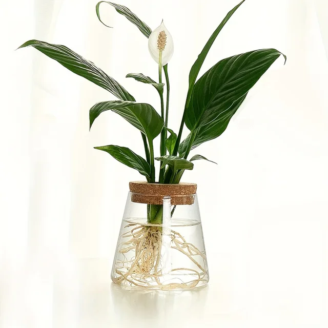 Glass Propagation Planter Vase 6