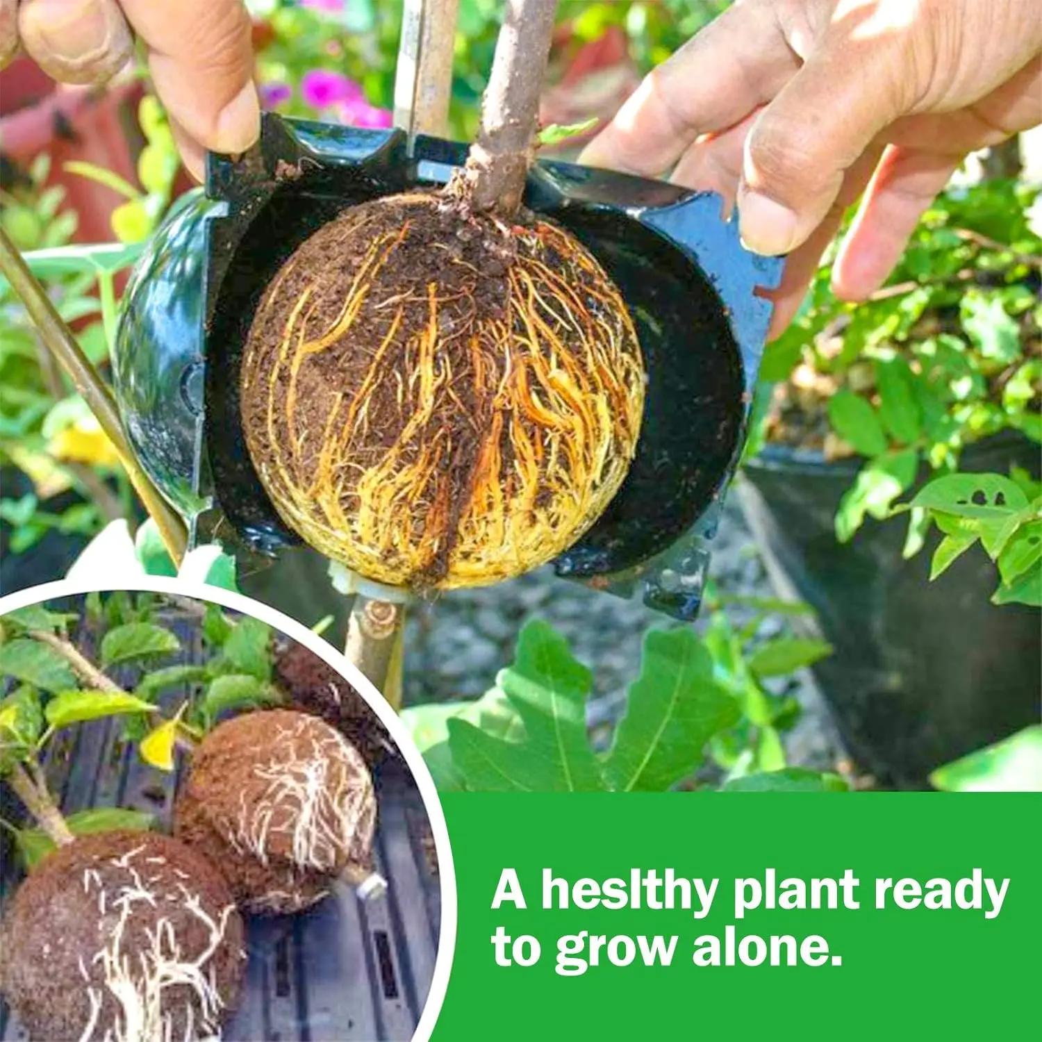 Plant Rooting Ball 10PCS Plant Rooting Ball High Pressure Tree Rooter Air Layered Propagation Seedling Pot Rooting Ball Grafting Tool Plant Grafti
