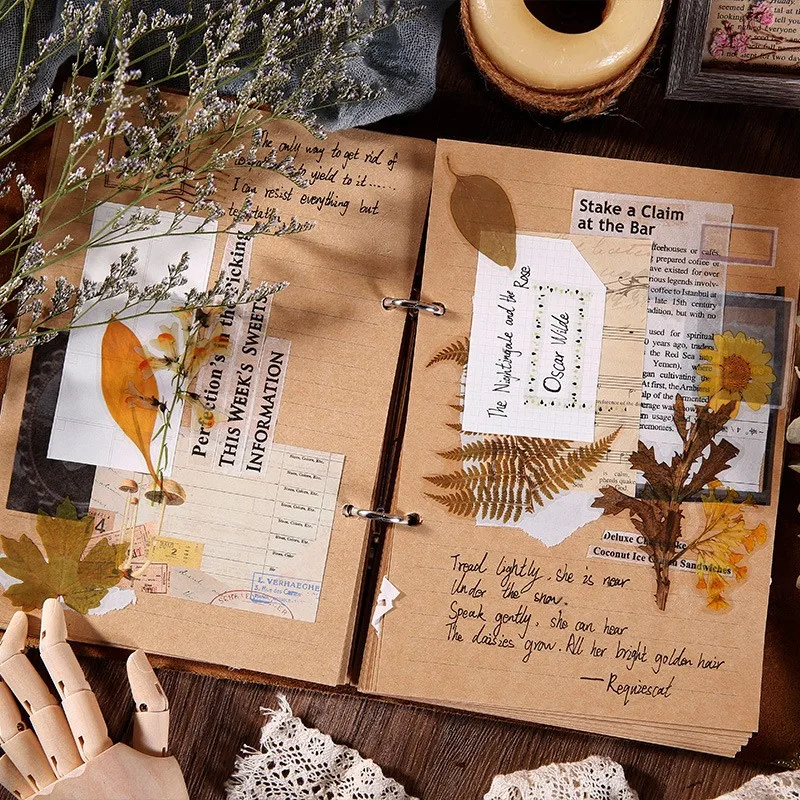 Рисунок 3 - 12 упаковок, прозрачные пластиковые