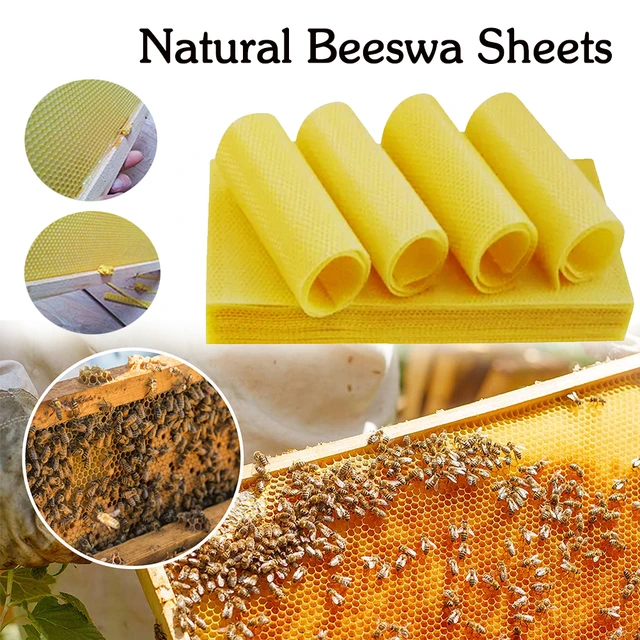 Multi-Purpose Natural Beeswa Sheets Wax Foundation Bee Hives Kit