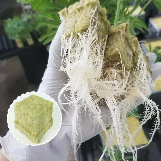 Ültetési Szivacs Termesztése Kerti Indítókockák Szikla Gyapjú Dugó Sóvárás Tenyésztési Szubsztrát - Image 3