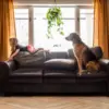 PU Leather Waterproof Sofa Seat Cushion Cover Elastic Chair Settee Seats Furniture Protector For Home Living Room Pets Kids 2