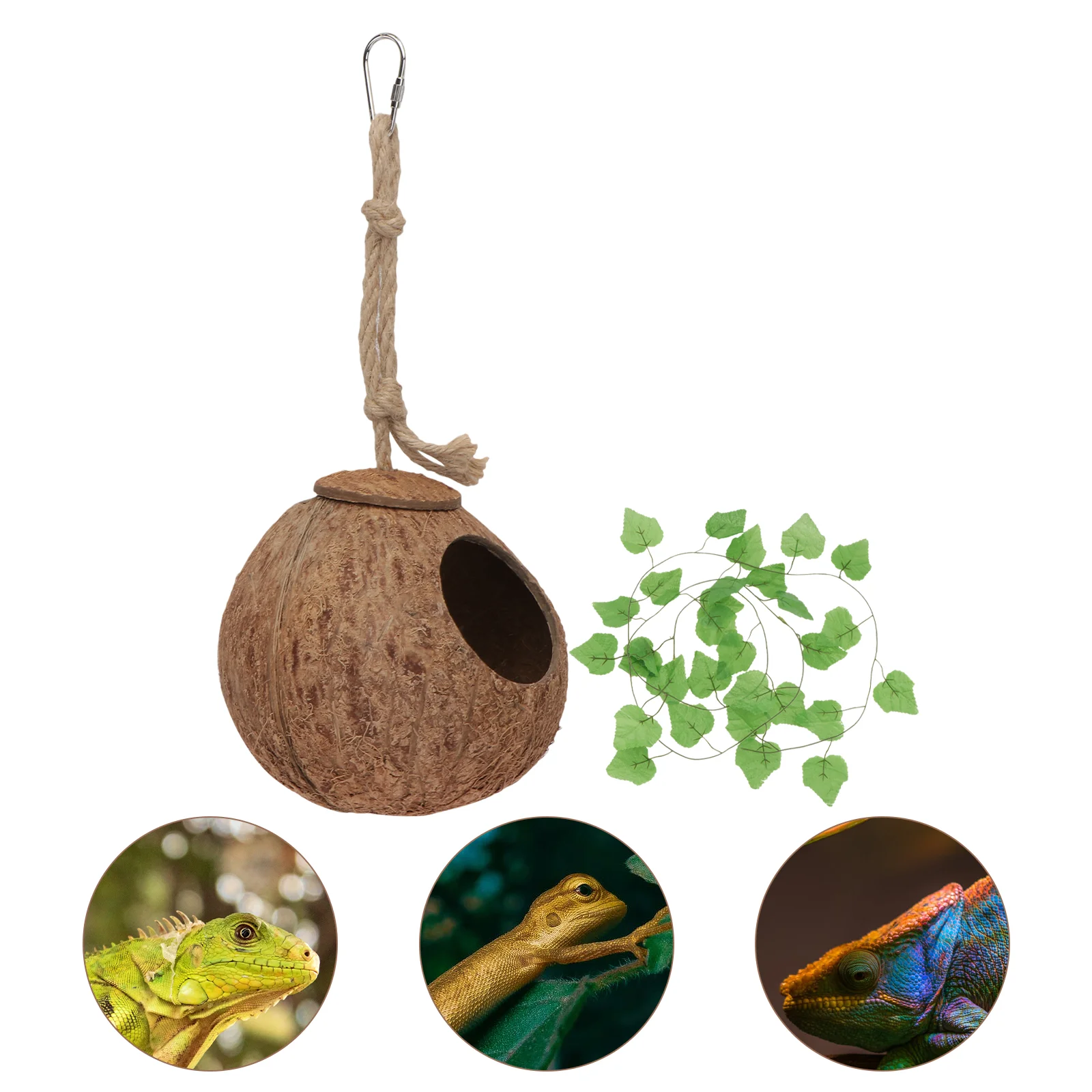 

Climbing Pet Coconut Shell Nest Lizard Sleeping House Amusement Toy Bed Bird Toys Lizards Animal Reptiles Supply Small
