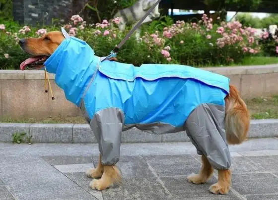 thumbnail image 1 of Chubasquero para perros grandes, reflectante, impermeable, para exteriores, chaqueta impermeable, camuflaje, poncho para mascotas, 1 of 5