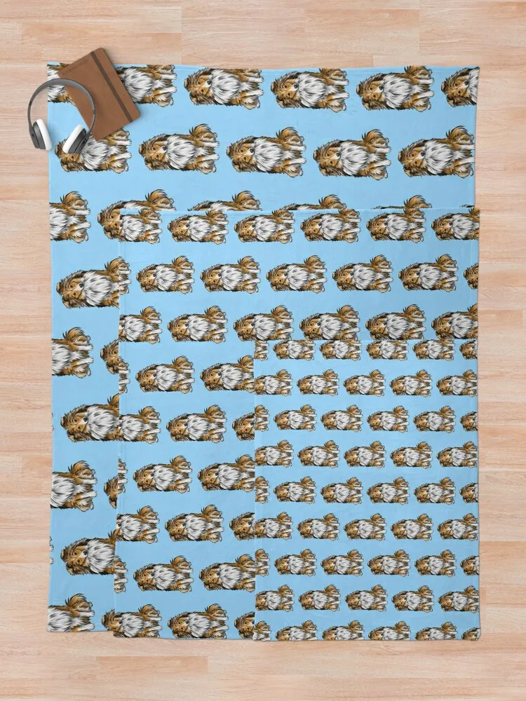 Sheltie Shetland Sheepdog Mahogany Sable Ϳ  Ʈ  ,   ħ, Ÿ ħ  